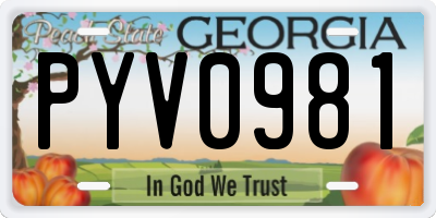 GA license plate PYV0981