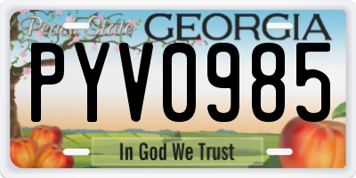 GA license plate PYV0985