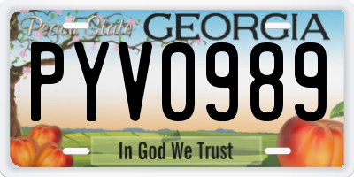 GA license plate PYV0989