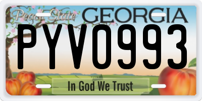 GA license plate PYV0993