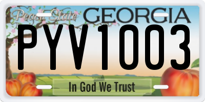 GA license plate PYV1003