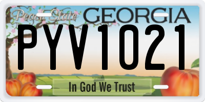 GA license plate PYV1021