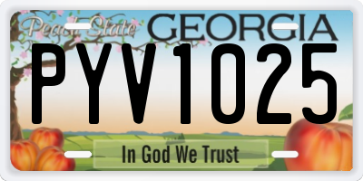GA license plate PYV1025