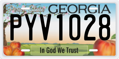 GA license plate PYV1028