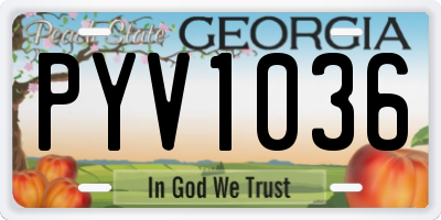 GA license plate PYV1036