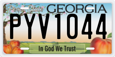 GA license plate PYV1044