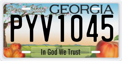GA license plate PYV1045