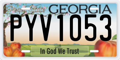GA license plate PYV1053