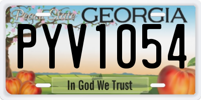 GA license plate PYV1054