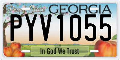 GA license plate PYV1055