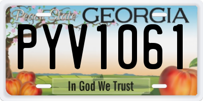 GA license plate PYV1061