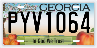 GA license plate PYV1064