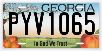 GA license plate PYV1065