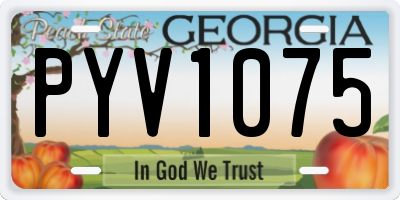 GA license plate PYV1075