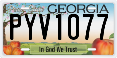 GA license plate PYV1077