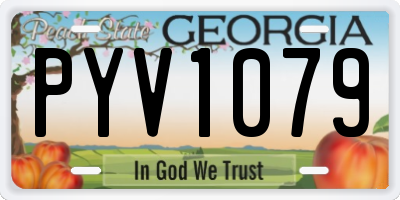 GA license plate PYV1079