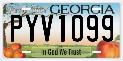 GA license plate PYV1099