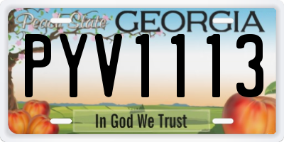 GA license plate PYV1113