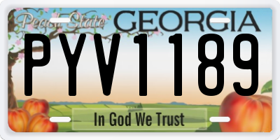 GA license plate PYV1189