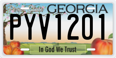 GA license plate PYV1201