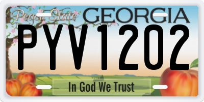 GA license plate PYV1202