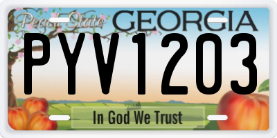 GA license plate PYV1203