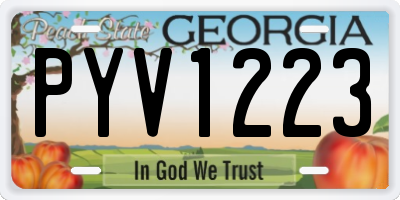 GA license plate PYV1223