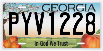 GA license plate PYV1228