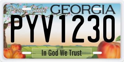 GA license plate PYV1230