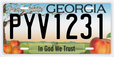 GA license plate PYV1231