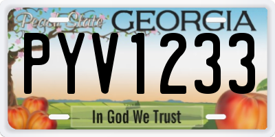 GA license plate PYV1233