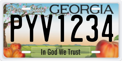 GA license plate PYV1234