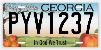 GA license plate PYV1237