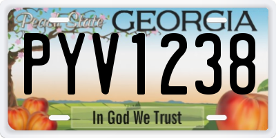 GA license plate PYV1238