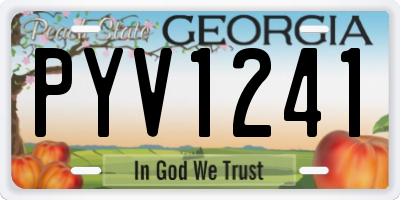 GA license plate PYV1241