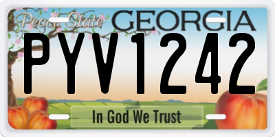 GA license plate PYV1242