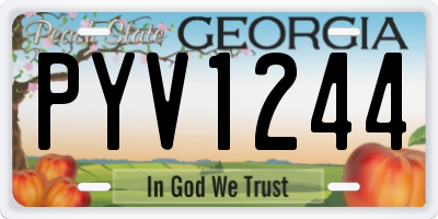 GA license plate PYV1244