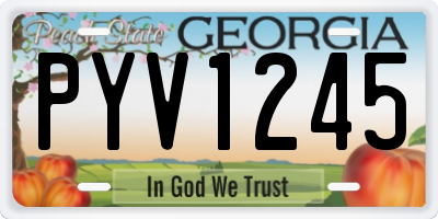 GA license plate PYV1245