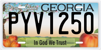 GA license plate PYV1250