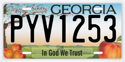 GA license plate PYV1253