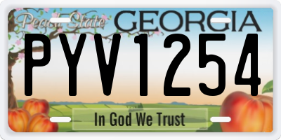 GA license plate PYV1254