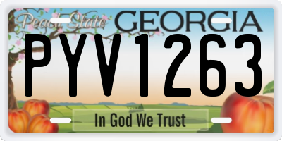 GA license plate PYV1263