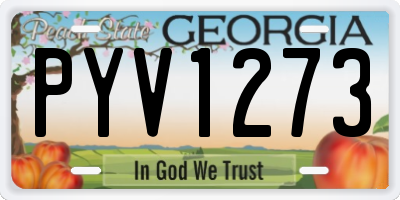 GA license plate PYV1273