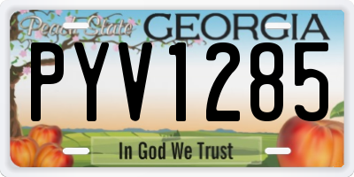 GA license plate PYV1285