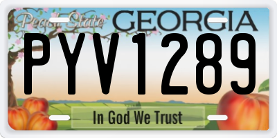 GA license plate PYV1289