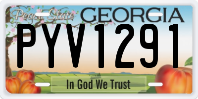GA license plate PYV1291