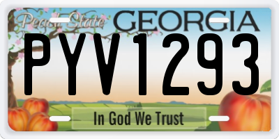 GA license plate PYV1293