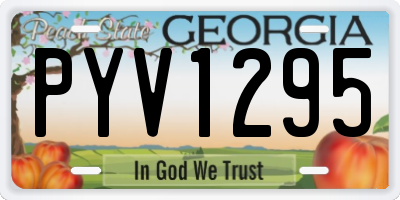 GA license plate PYV1295