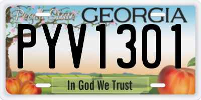 GA license plate PYV1301