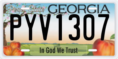 GA license plate PYV1307
